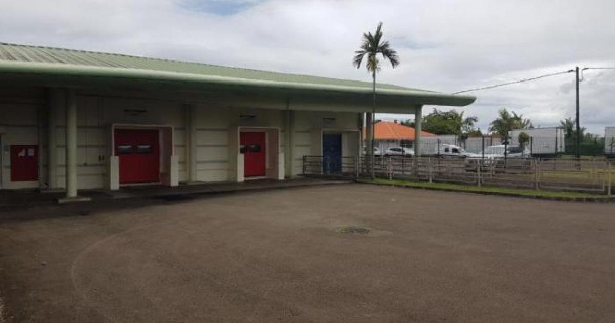 L'abattoir de Martinique est fermé pour au moins 5 jours
