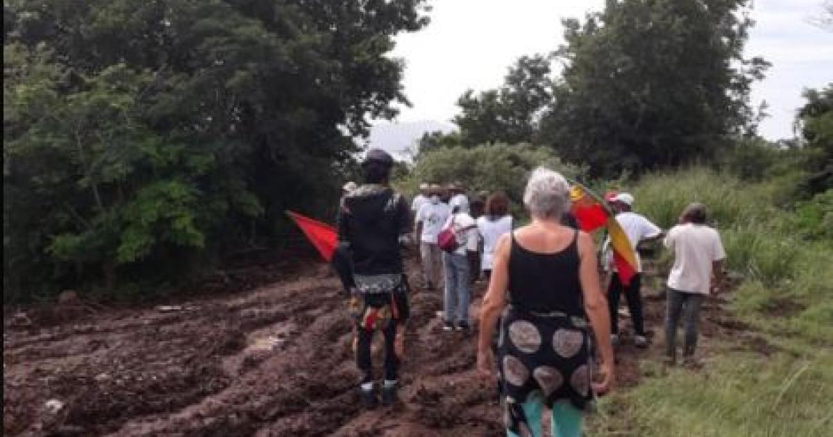     





La mairie de Schoelcher ordonne l'interruption des travaux à Terreville




