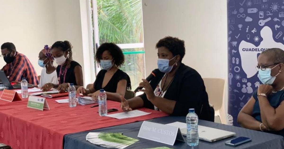     





Pôle Emploi et RCI « en chimen pou l'emploi » à Dillon




