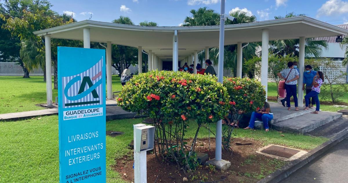     





Une intersyndicale mobilisée au Crédit agricole de Guadeloupe




