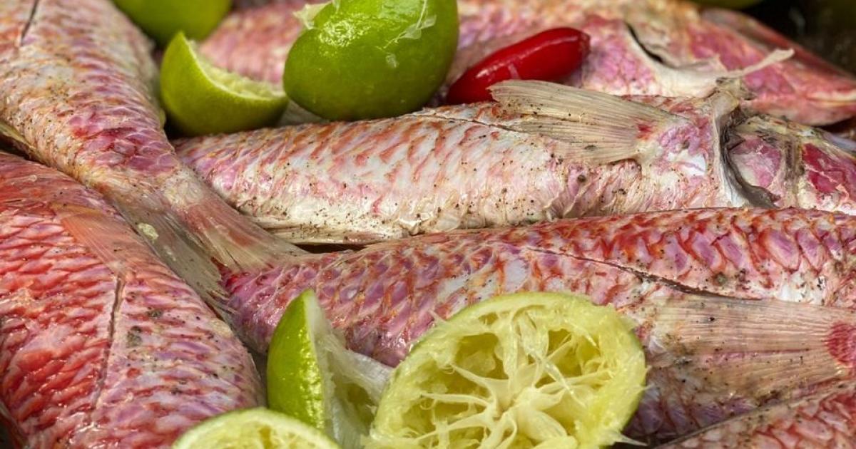 La recette du court-bouillon de poisson de Gwot An Nou