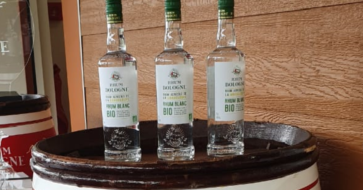 Bologne lance officiellement son rhum bio