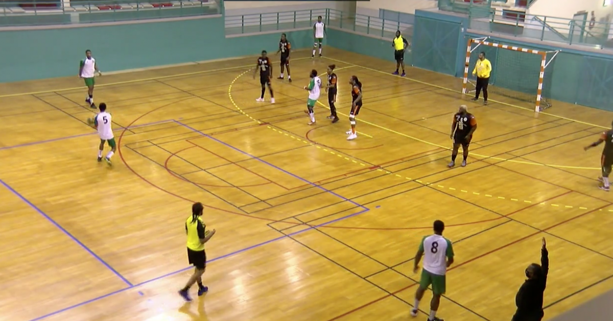 Handball : les vainqueurs de la Coupe de Martinique sont connus