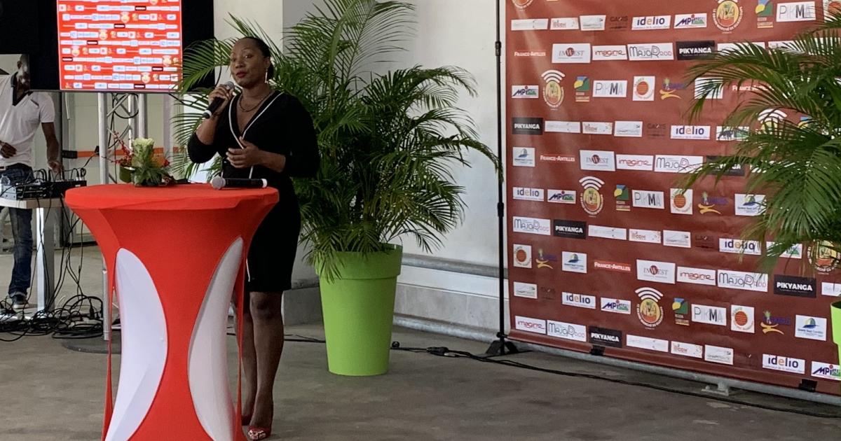 Le premier marché de Noël en ligne voit le jour en Guadeloupe