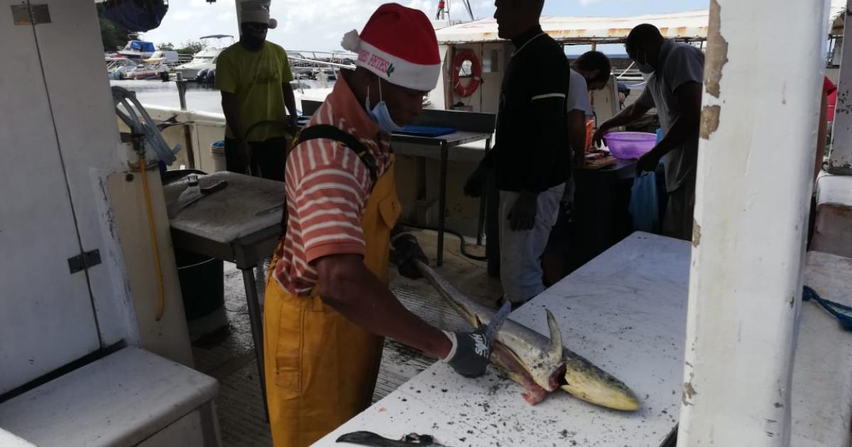 Pénurie de poissons en Martinique depuis le mois de janvier