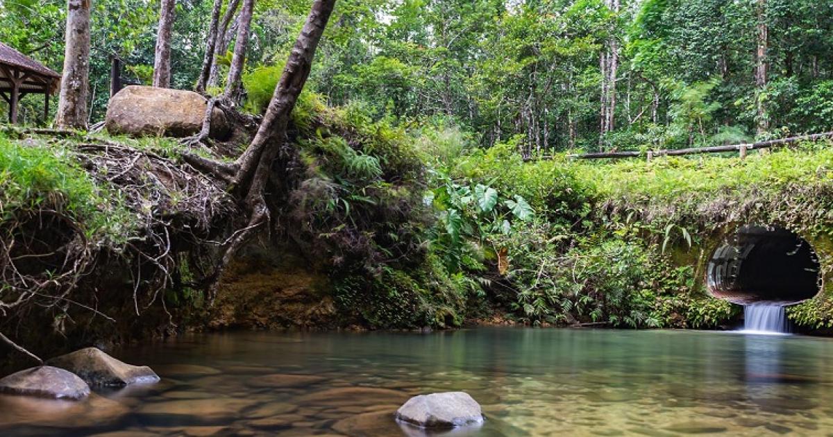 Le Bain à Colo, balade, pique-nique et baignade en pleine nature