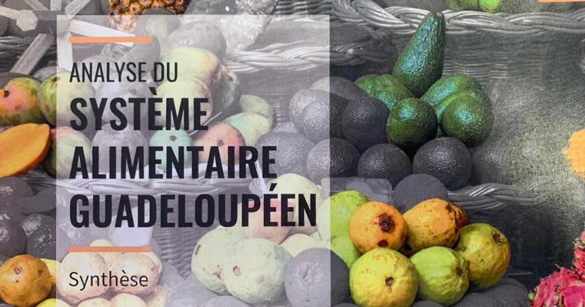     





Un rapport sur le système alimentaire Guadeloupéen




