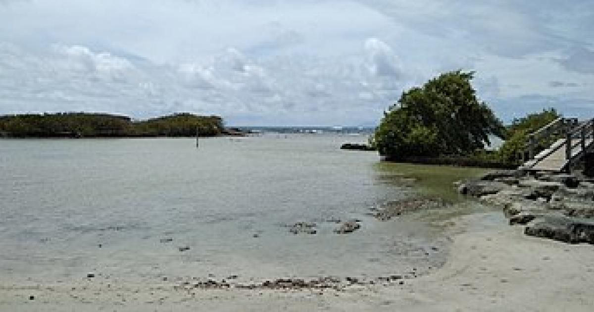     





L'étang des Salines à Sainte-Anne : une pollution aux pesticides et métaux lourds




