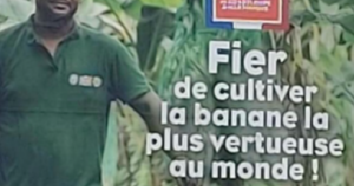 Campagne sur la banane : enquête pour "pratique commerciale trompeuse"
