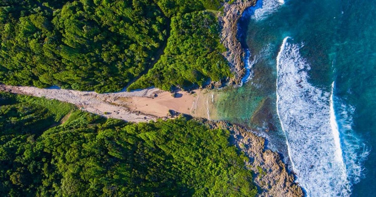 Crique isolée et sauvage, l'Anse Patate est l'une des merveilles du littoral