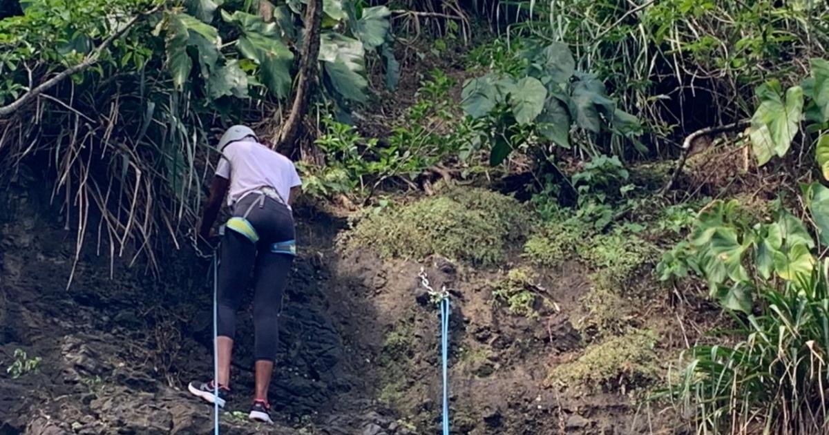 Escalader le Rocher Zombi, une activité touristique à Rivière-Pilote