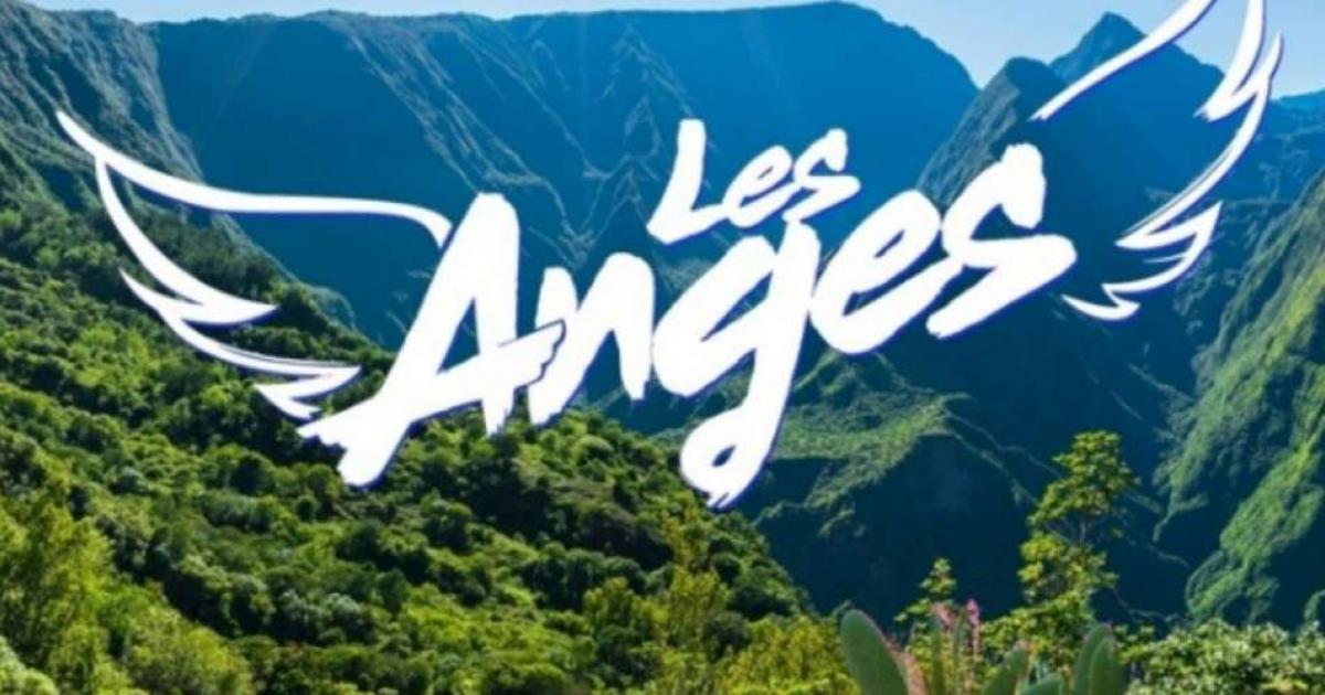 Le tournage des "Anges de la téléréalité" annulé à La Réunion suite à une agression