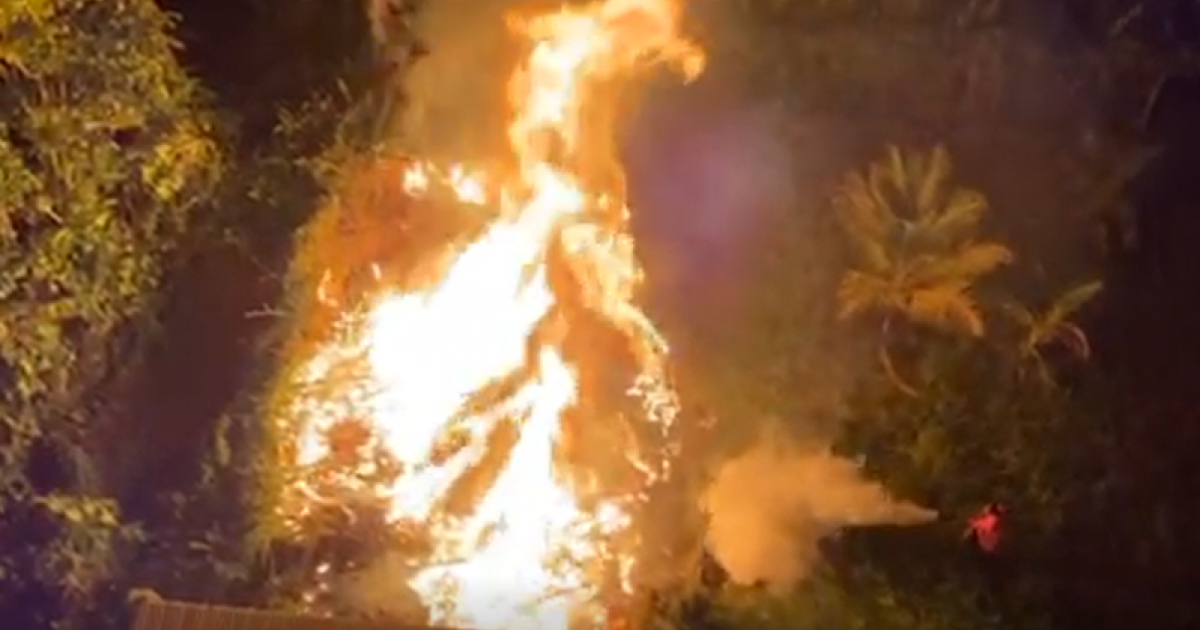Un feu de broussaille aux abords de l'hôtel Valmenière
