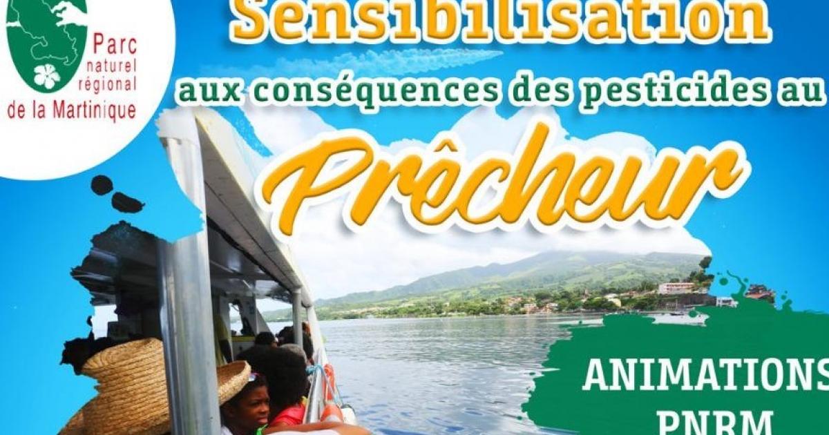 Une journée de sensibilisation à la lutte contre les pesticides au Prêcheur