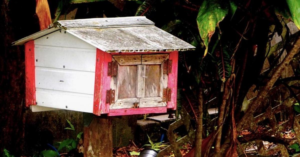    





Un livre rend hommage en images et poésies aux boîtes aux lettres de Guadeloupe




