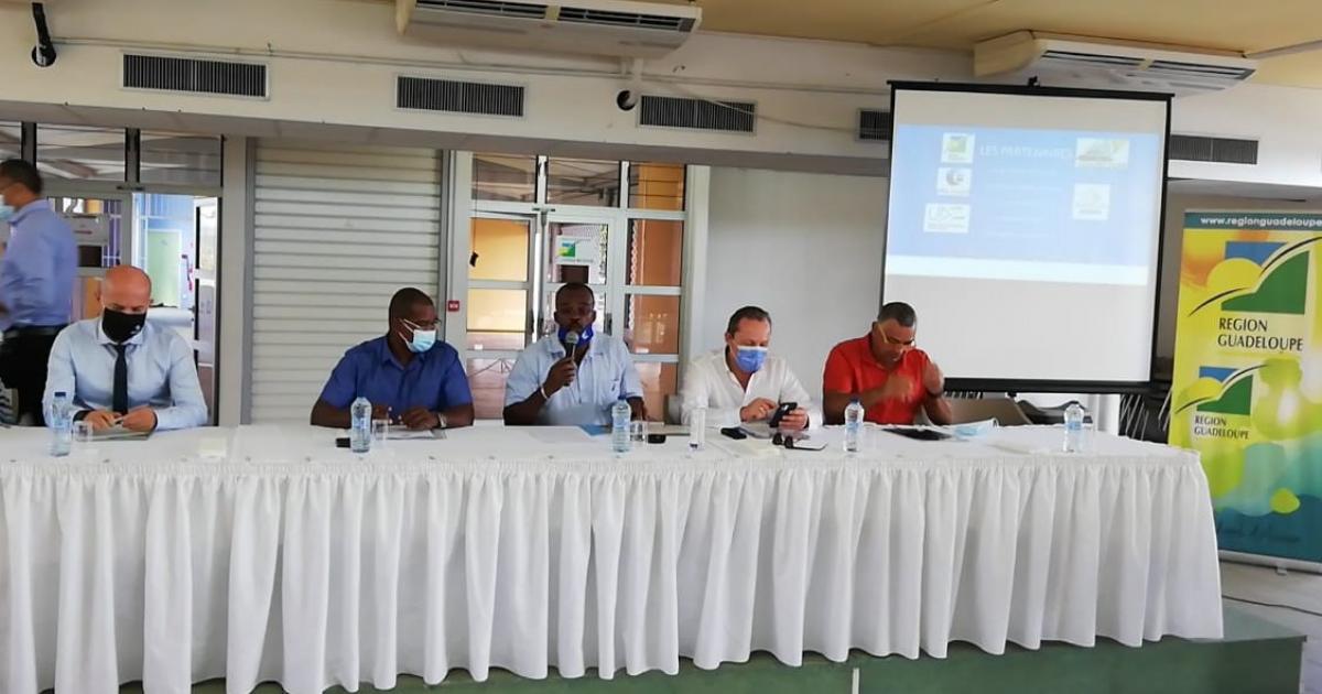 Les jeunes sportifs bénéficient du plan régional d'insertion professionnelle