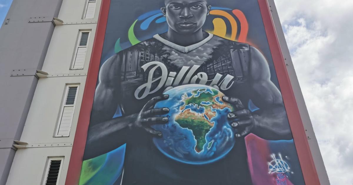     





[VIDEO] De nouvelles fresques colorent les immeubles de la cité Dillon




