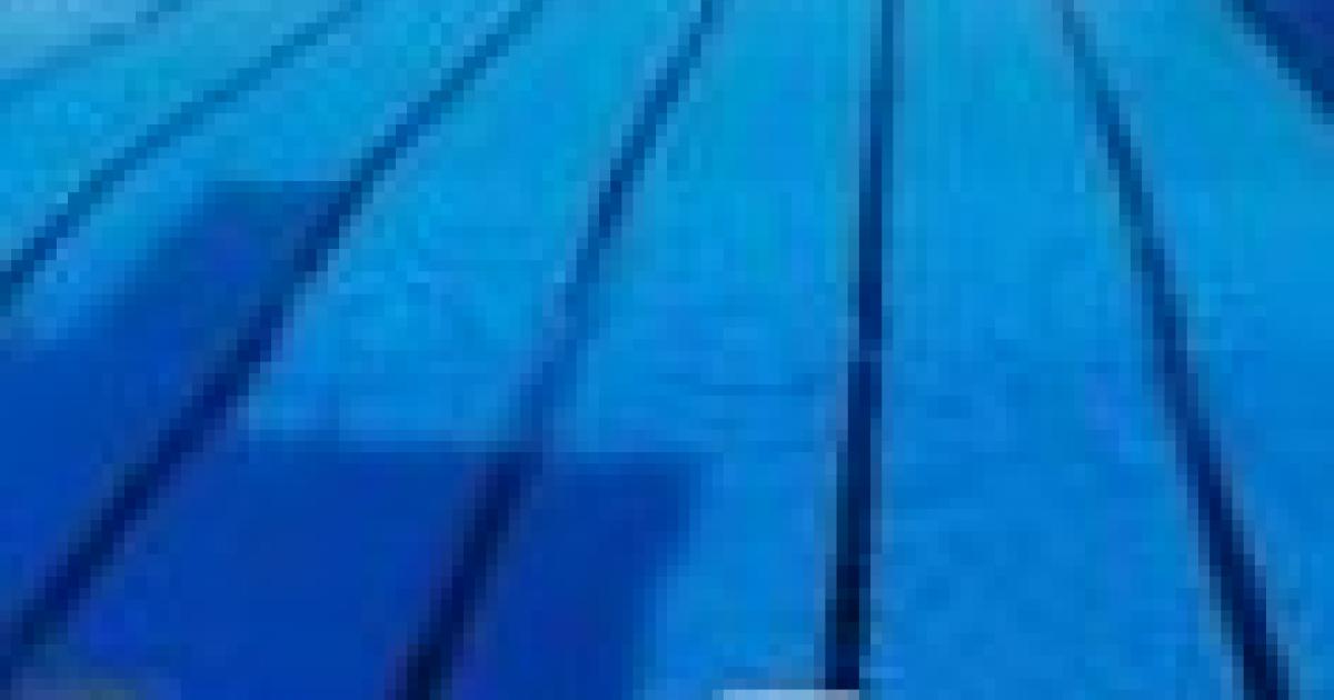Une collégienne décède à la piscine de Pointe-Noire
