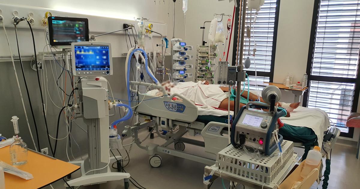 Gestion du Covid-19 en Martinique et Guadeloupe : le Pôle Santé Publique de Paris est saisi