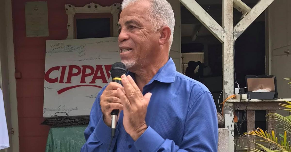     





Alain Plaisir, tête de liste du CIPPA aux élections régionales




