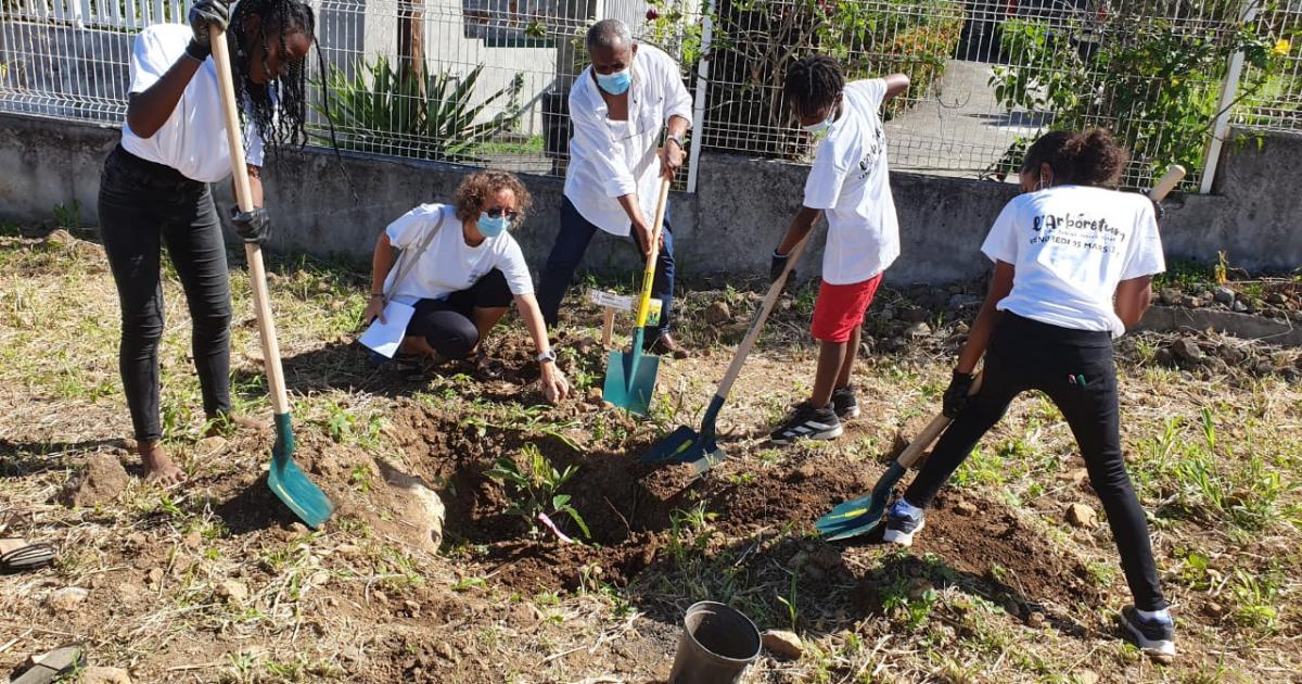    





Une centaine d'arbres plantés au Collège Joseph Pitat 




