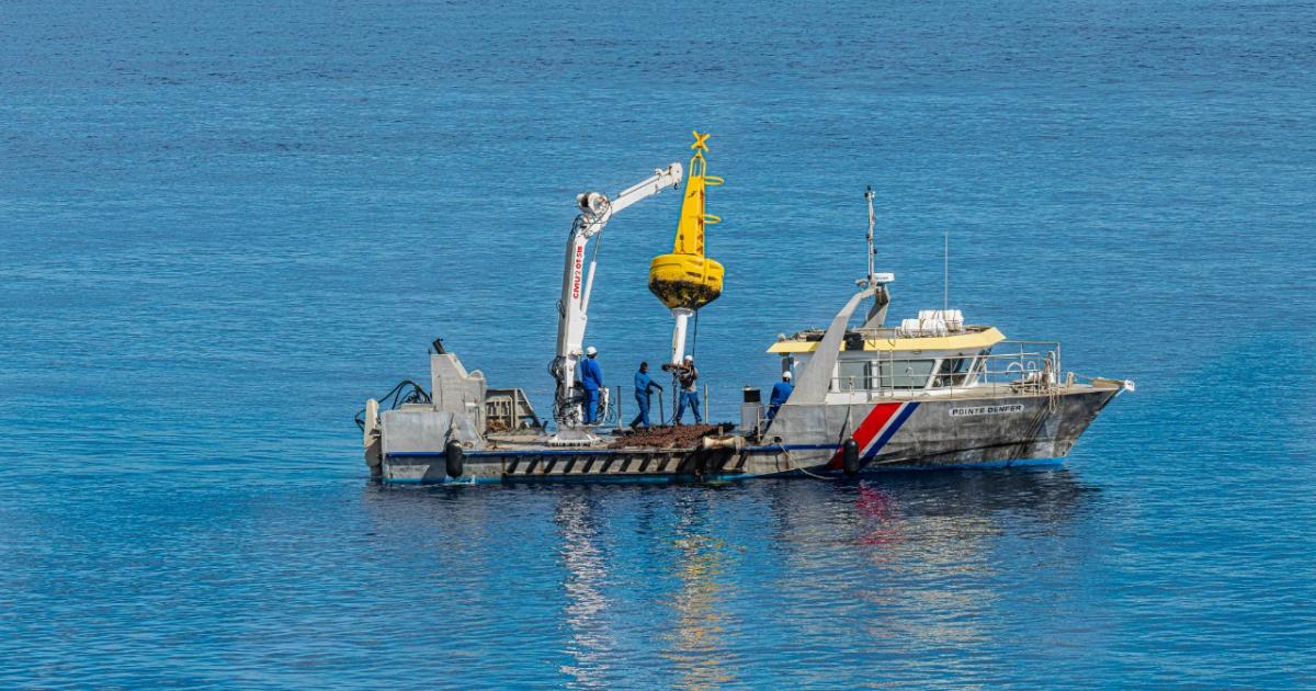 Trois nouvelles bouées protègent les épaves dans la rade de Saint-Pierre