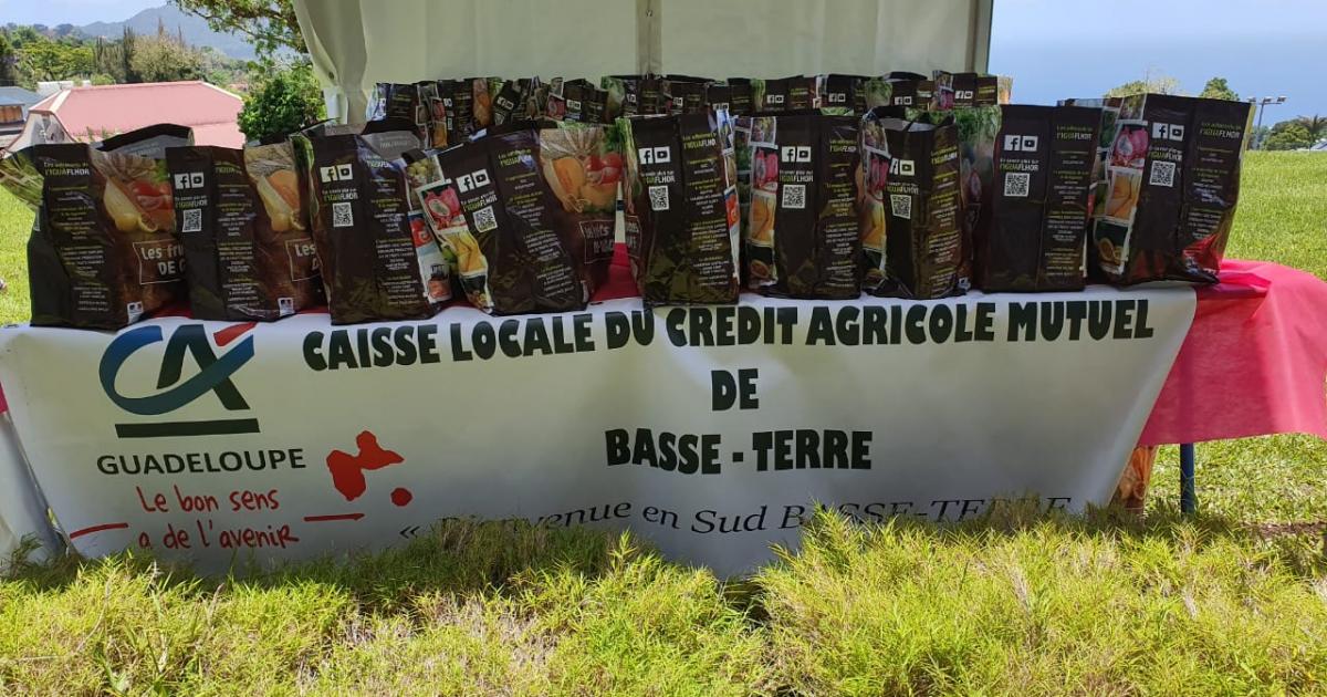 60 paniers solidaires distribués aux étudiants du Camp Jacob