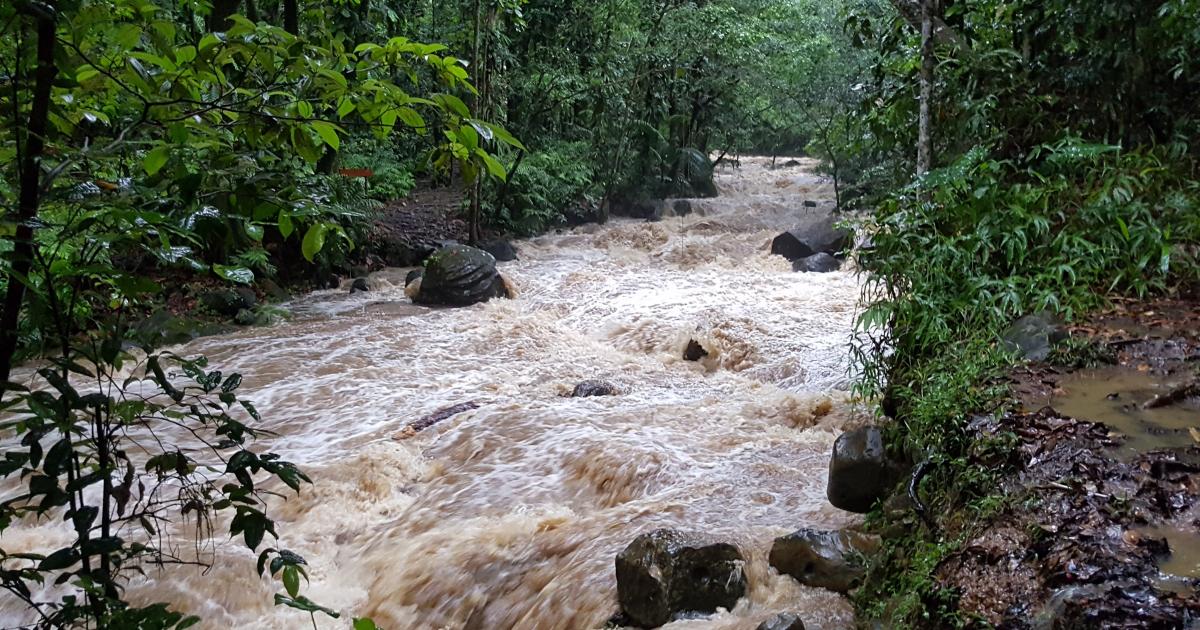     





Le groupe piégé aux chutes du Carbet est finalement rentré




