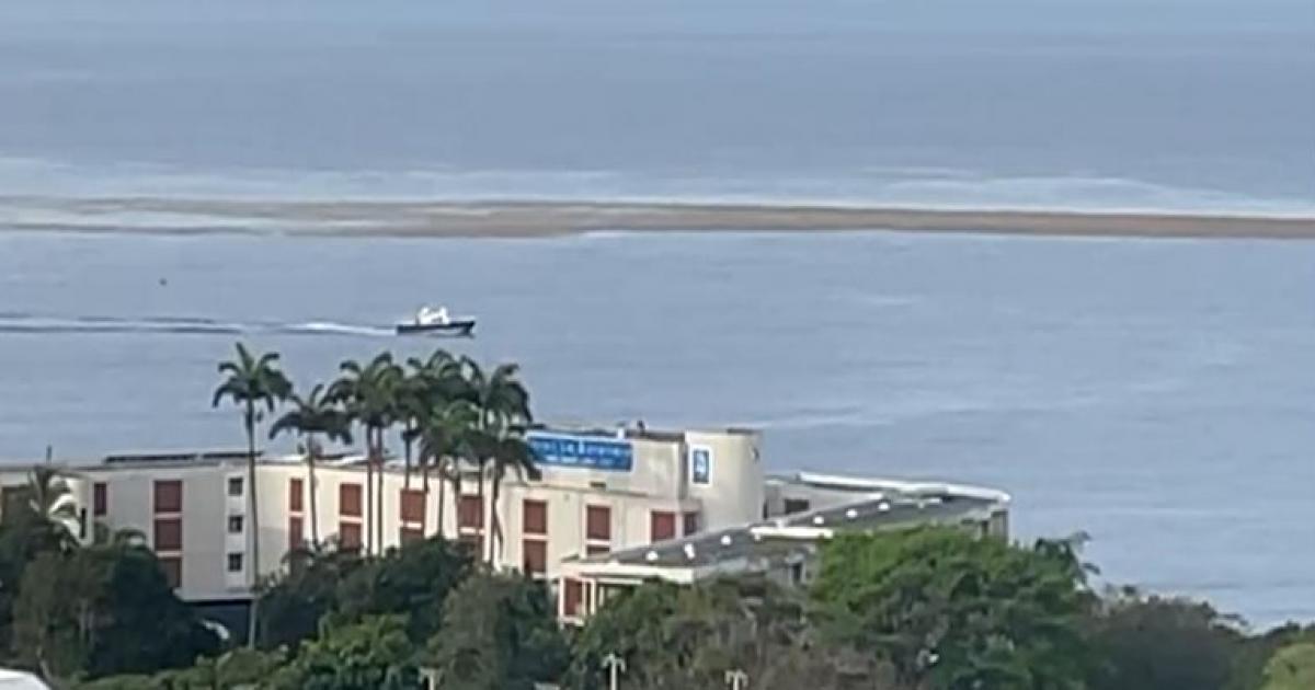     





Les sargasses font leur retour sur la côte caraïbe





