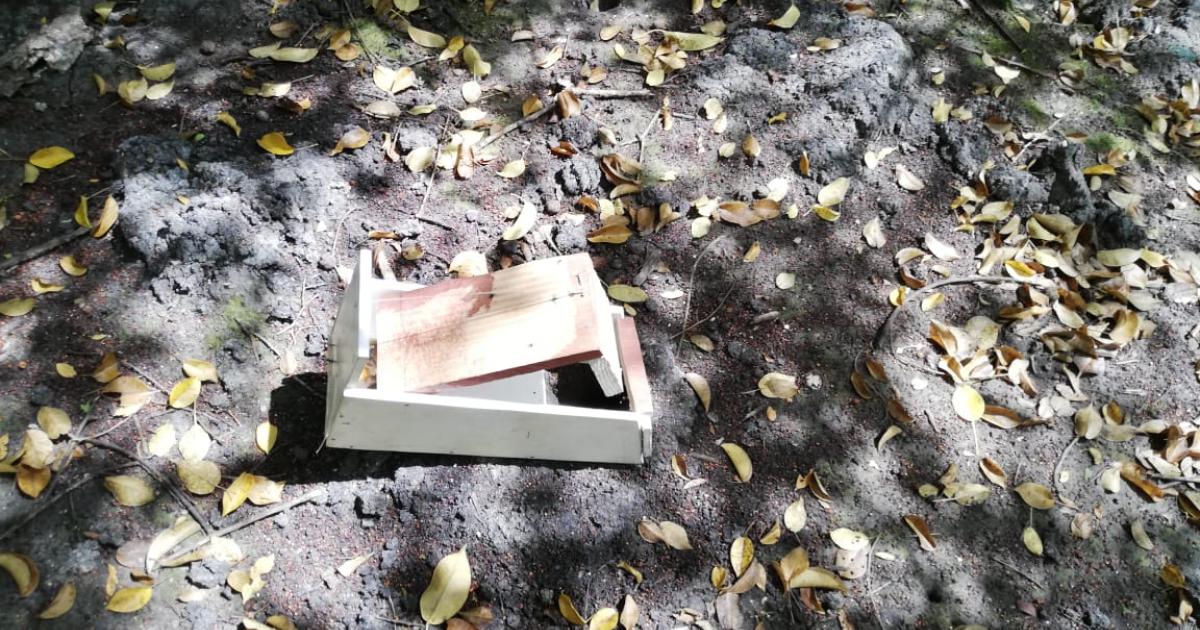 À la chasse aux crabes pendant les vacances