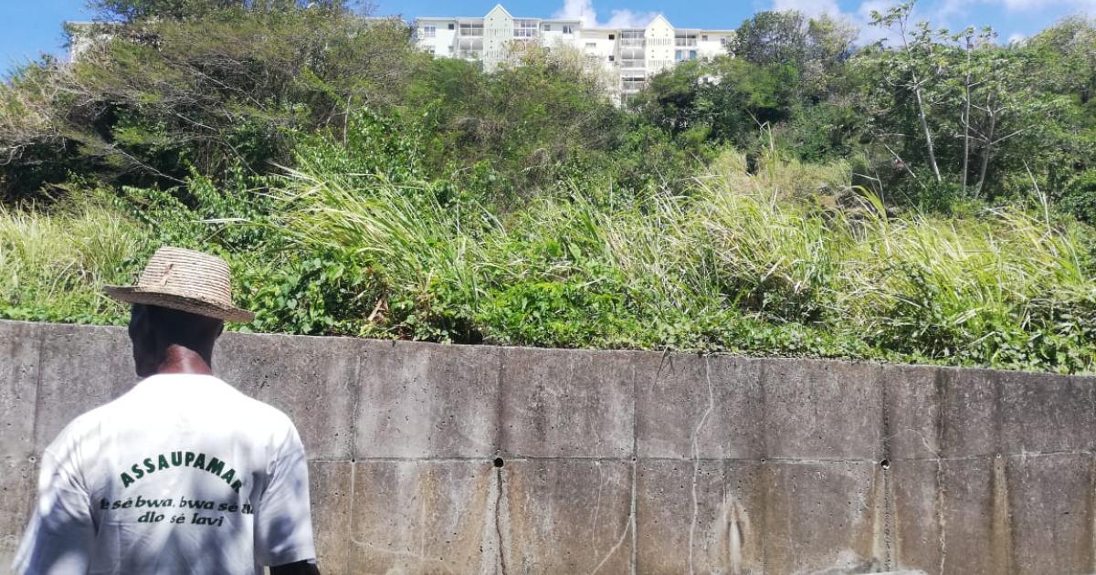 L'Assaupamar monte au créneau contre un projet de construction à Fort-de-France