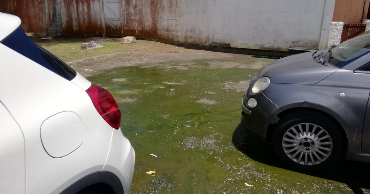    





Le quartier de la Marina victime de débordement des égouts 




