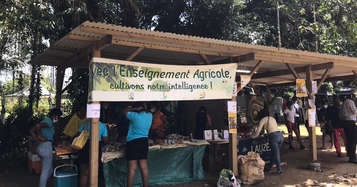 À Tivoli, le chocolat dans tous ses états