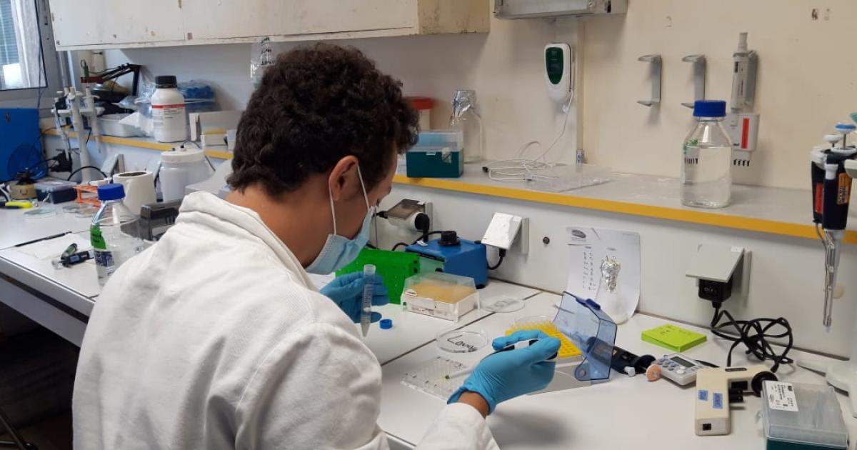 Le Projet Malin : vers une approche globale de la santé en Guadeloupe