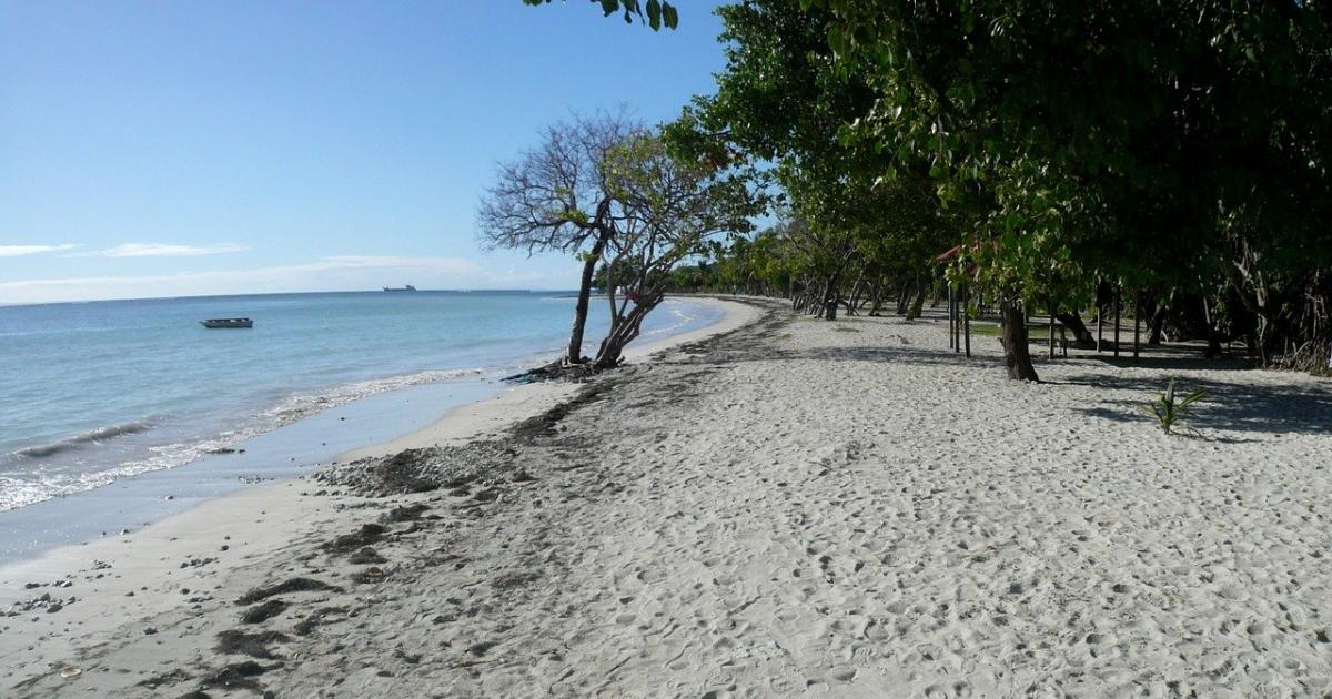     





Plages, mares et mangrove sur la balade littorale des Salines à Saint-Felix




