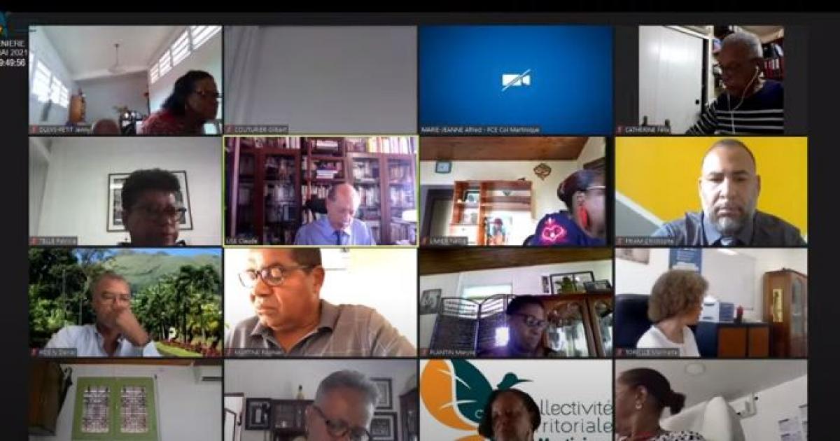     





[Live] Les conseillers territoriaux réunis en visio-conférence pour la dernière plénière de la mandature




