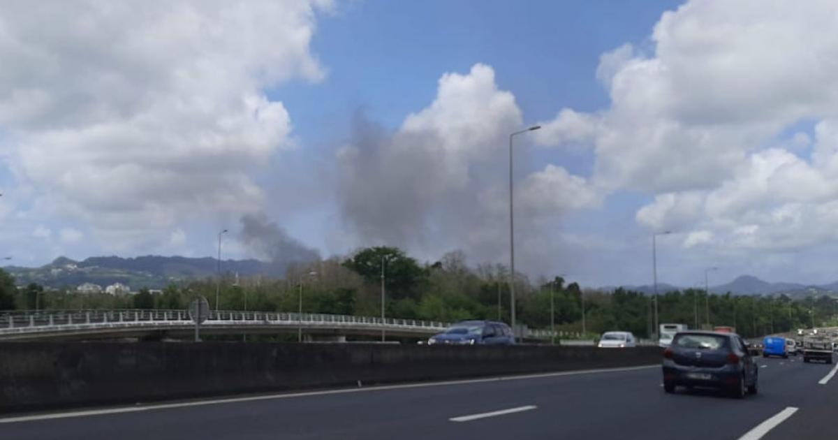 Un feu de broussailles est en cours au Lamentin