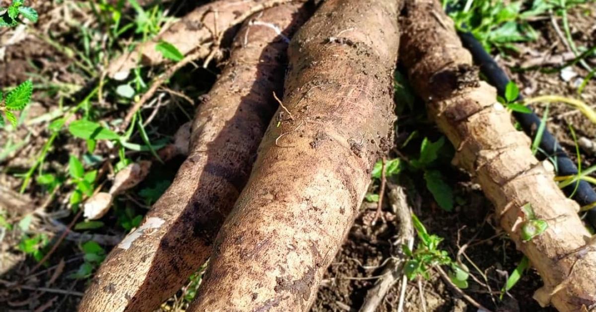 La route des fermes bio est de retour