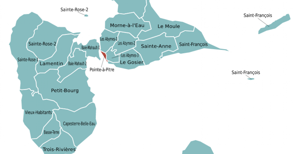 Candidatures pour le canton de Pointe-à-Pitre