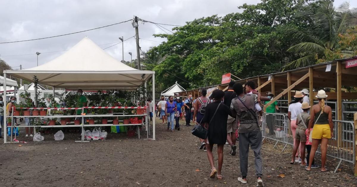     





Le festival de la production locale bat son plein à Rivière-Pilote




