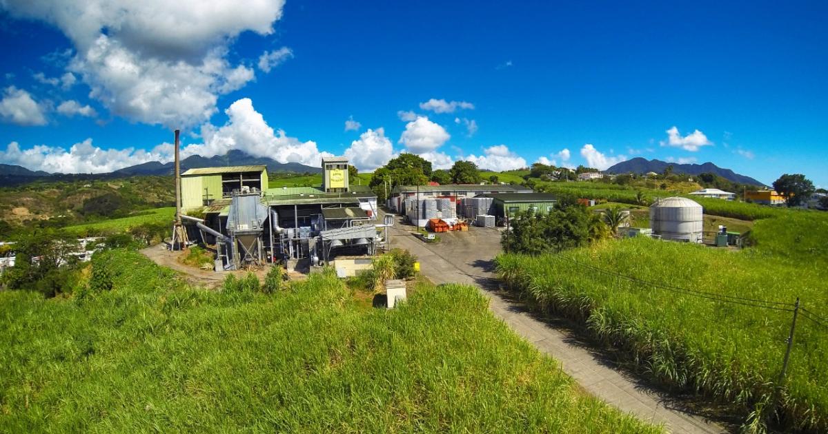     





Le rhum Bologne obtient le label "haute valeur environnementale" 




