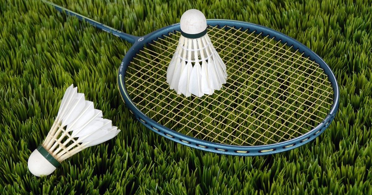    





Mathis Clément qualifié pour les championnats de France de Parabadminton




