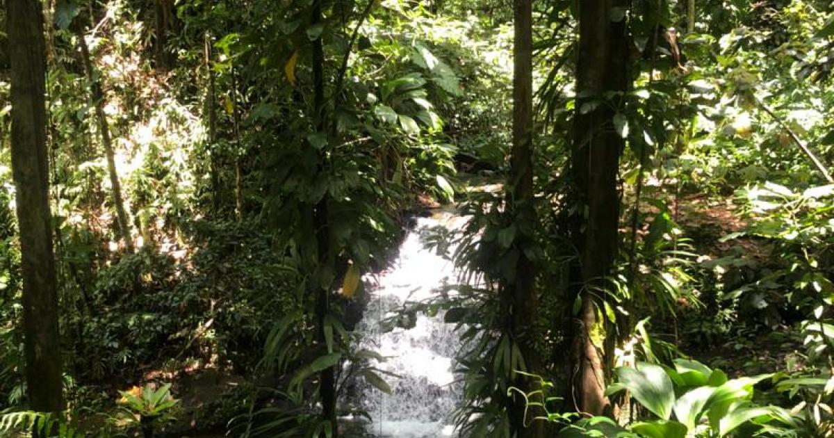 Impressionnante vidéo de chutes de pierres aux Chutes de Moreau