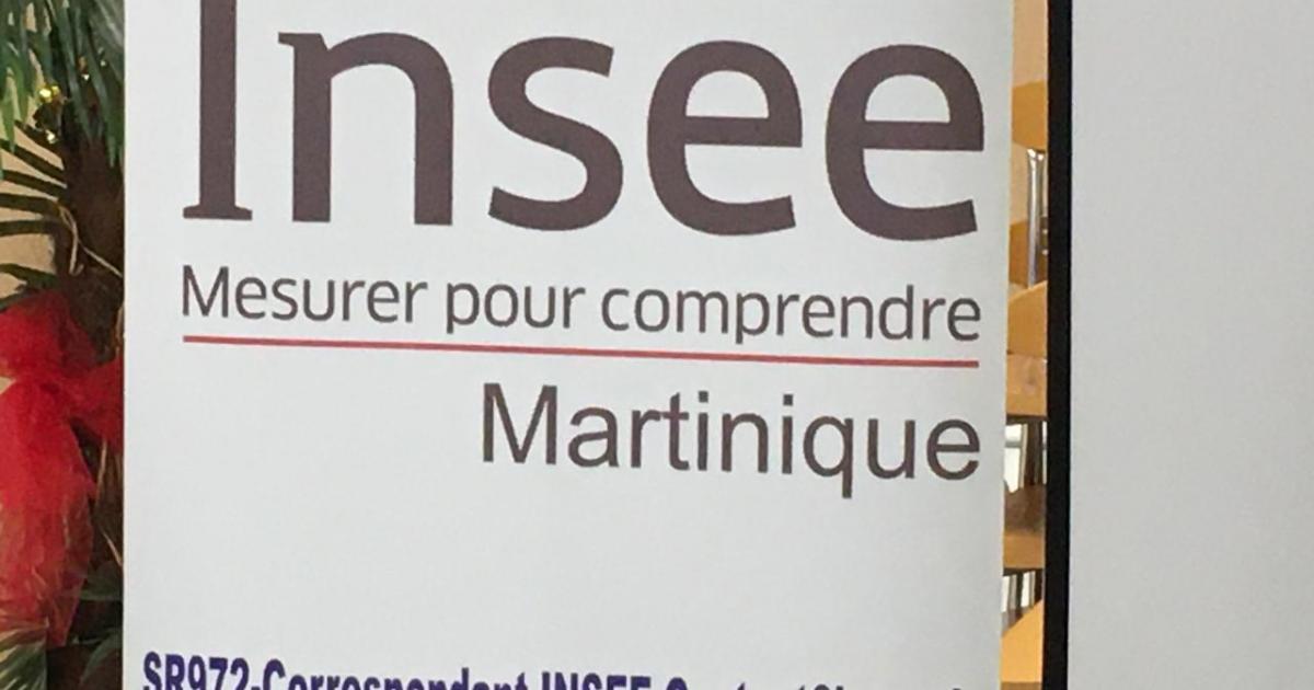     





Covid-19 : impact limité de la crise économique en Martinique en 2020




