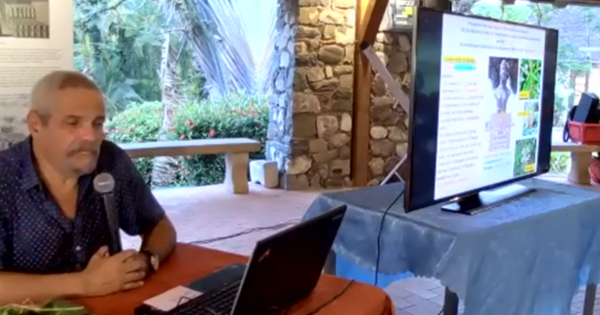 Une conférence sur les "plantes magiques de Martinique" à suivre en direct