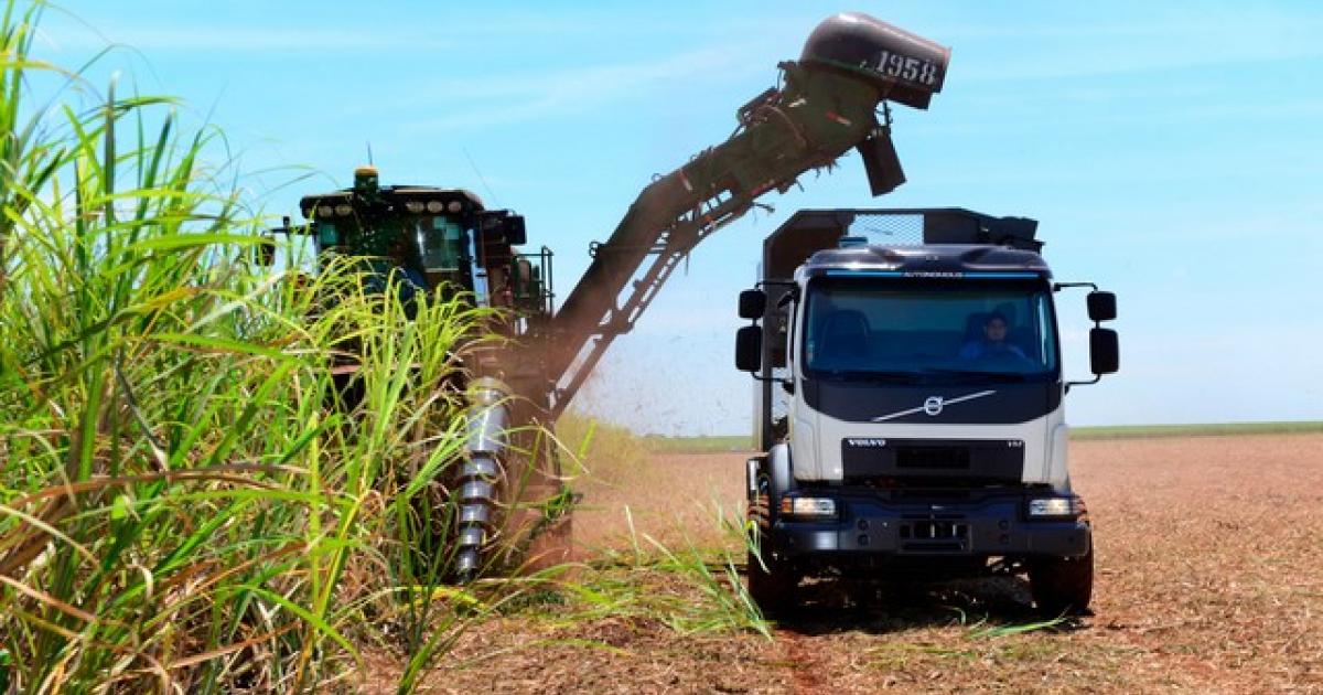 Défilé des camions titans pour la fin de récolte