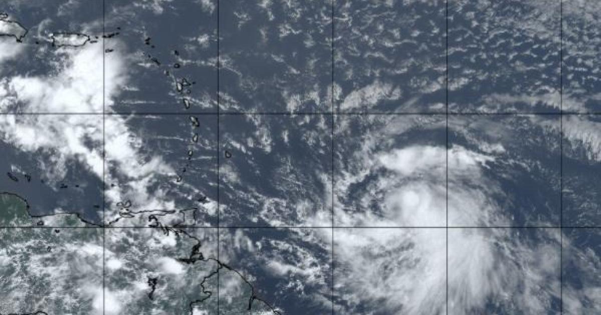     





Tempête Elsa : le bulletin de vigilance de la mi-journée




