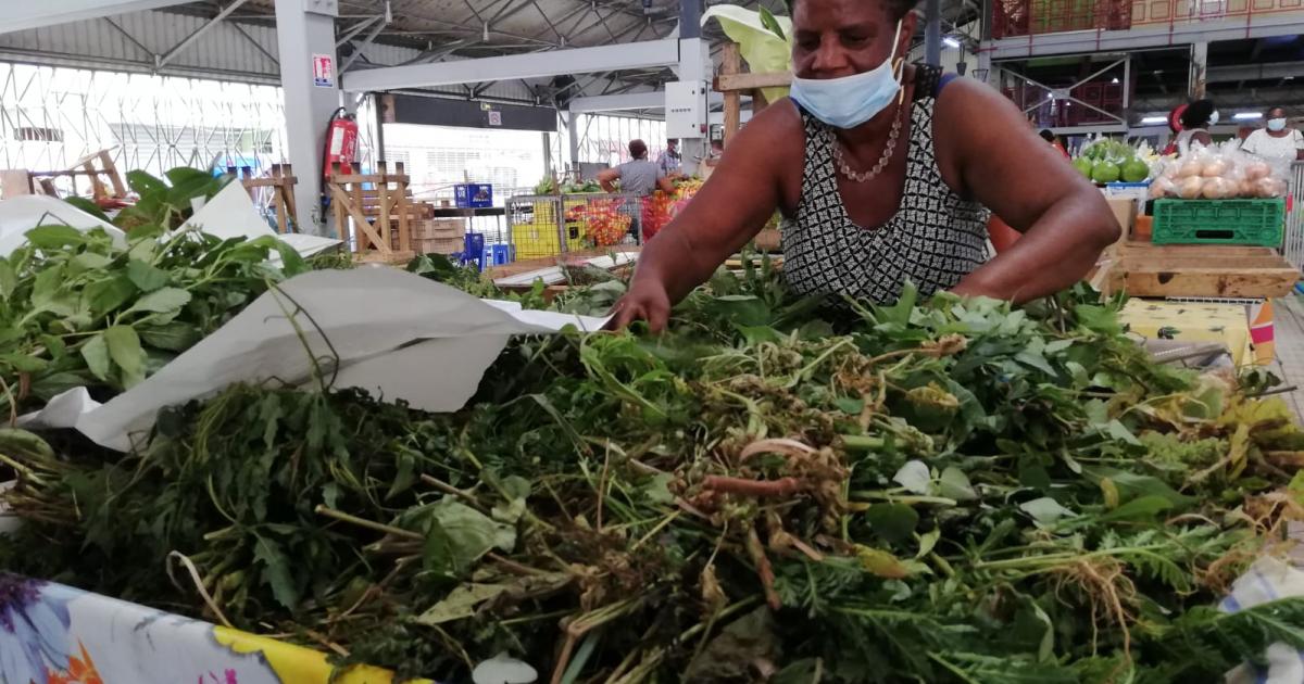 Les amateurs de phytothérapie doivent prendre certaines précautions