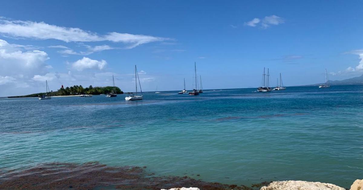     





Arrivez-vous à profiter des vacances malgré le contexte sanitaire ? 




