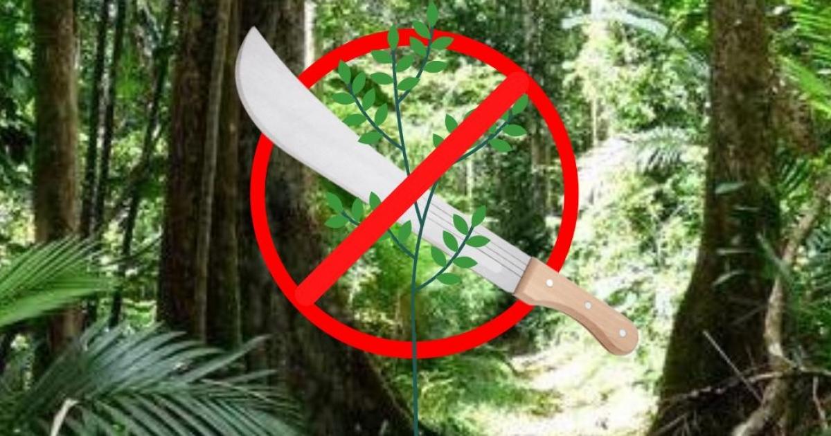 Des prélèvements sauvages au cœur du Parc National